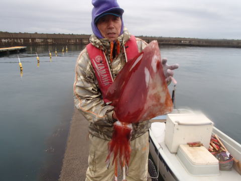 5キロのワラサと6キロのソデイカ 新潟県柏崎マリーナ スタッフ ブログ